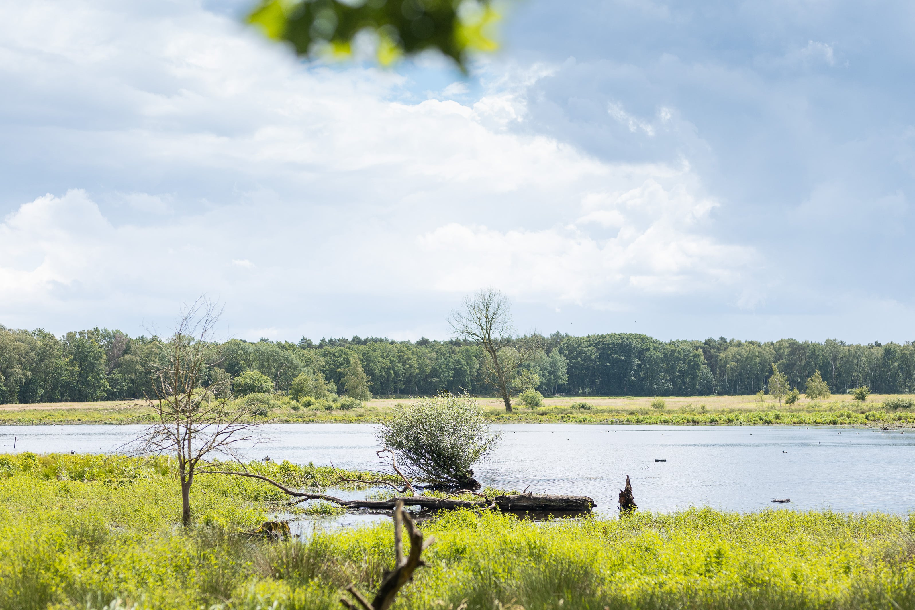 Vallée du Zwarte Beek