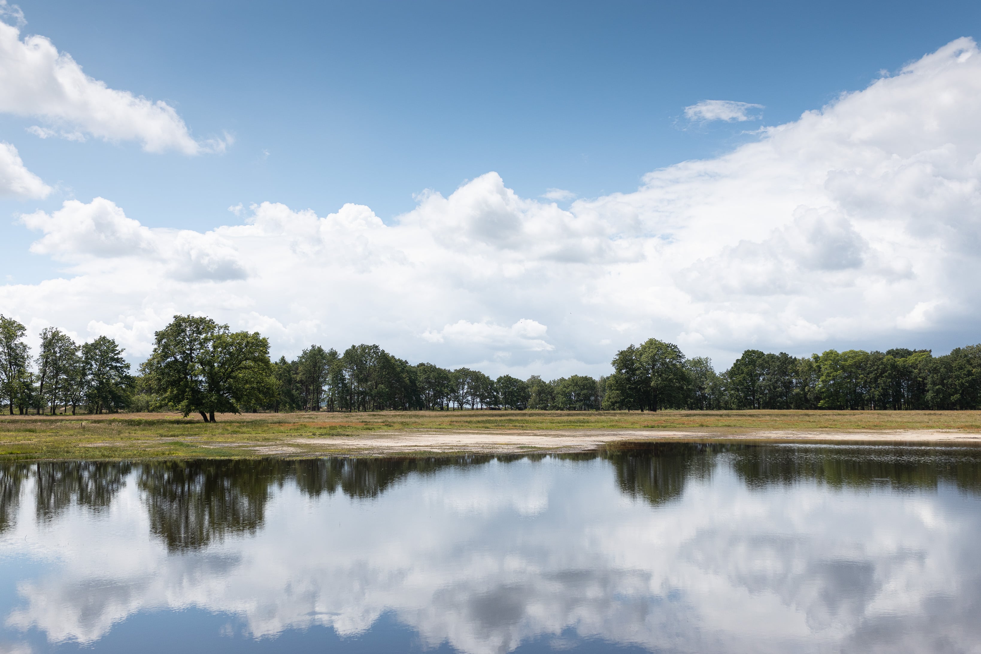 Photo de la Vallée du Zwarte Beek