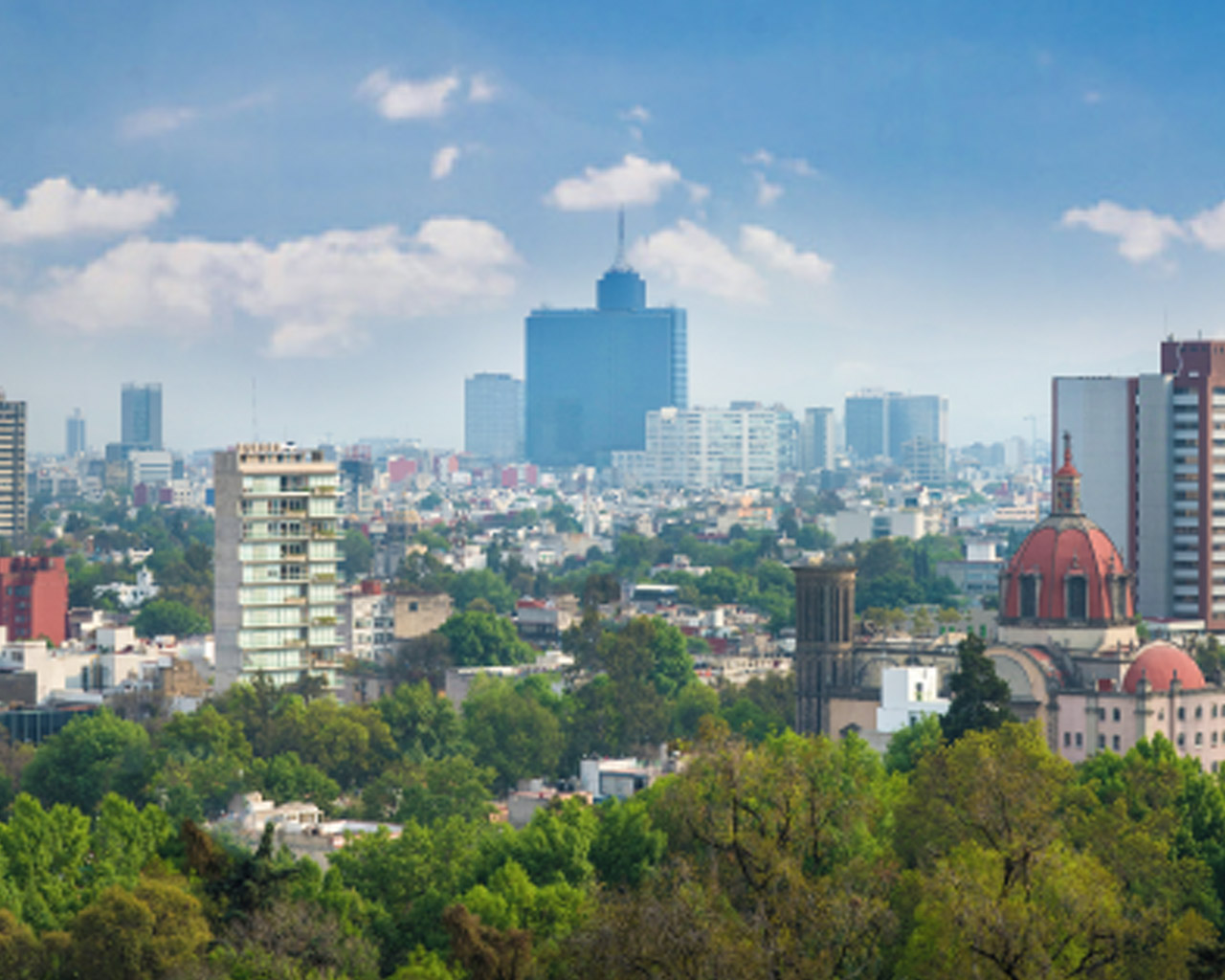 Foto de paisaje urbano. Se ven en primer plano unos arboles y hacia el horizonte unos edificios.