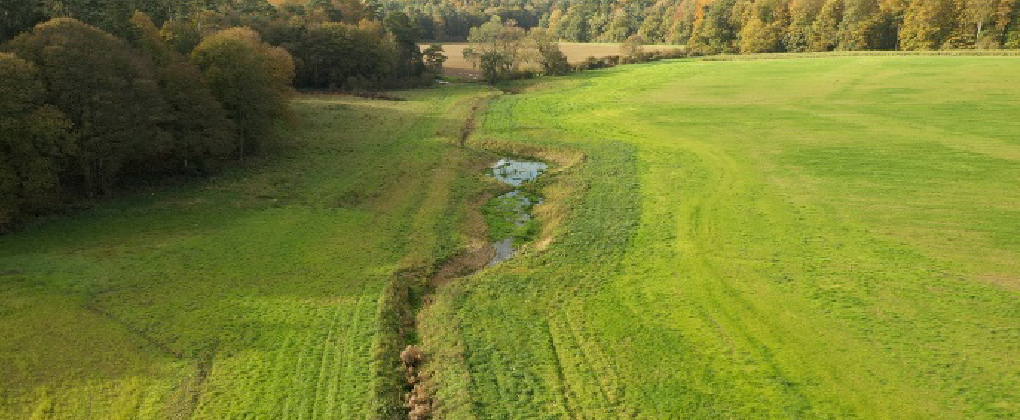 Aerial view of a green field