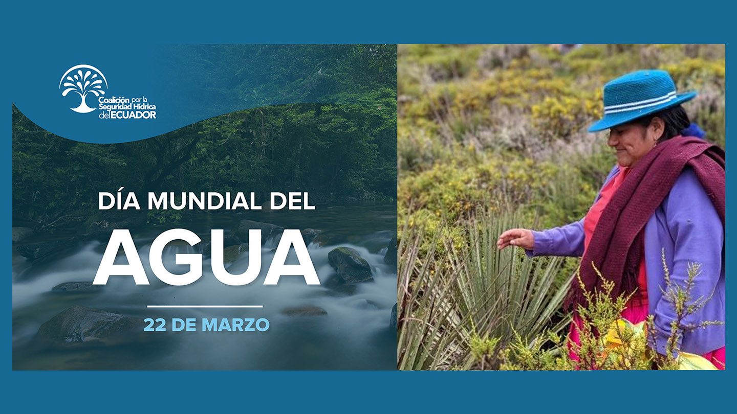 Pancarta con una anciana rodeada de naturaleza en honor del Día Mundial del Agua.