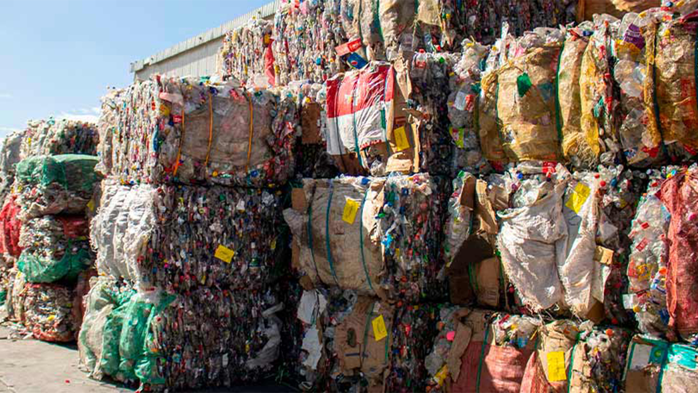 Las botellas de Coca-Cola fueron recolectadas como parte del programa de reciclaje 'Hagámoslo circular'.