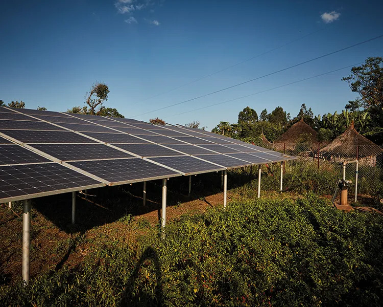 Des panneaux solaires