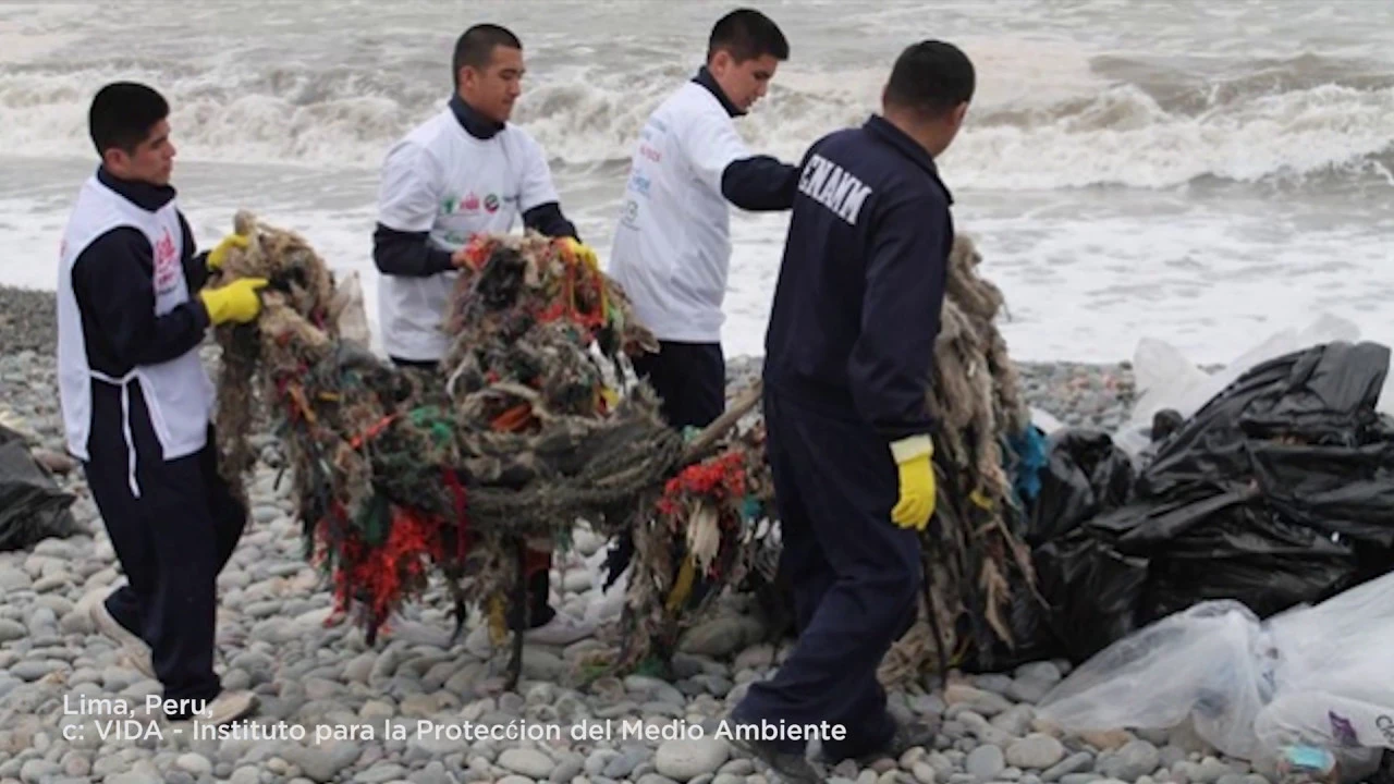 A group of people collecting waste in a beach shoreline