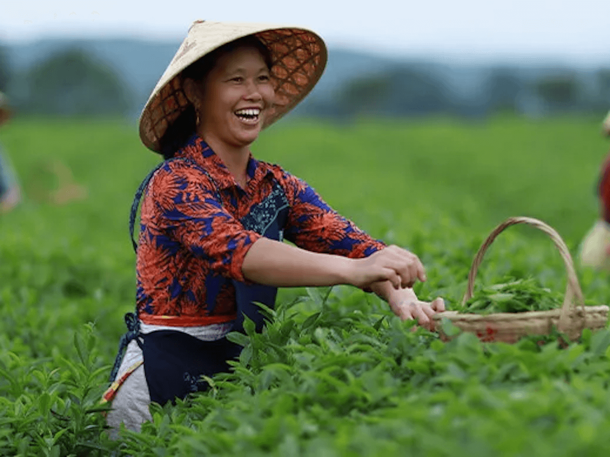 A smiling woman picks crops in a field